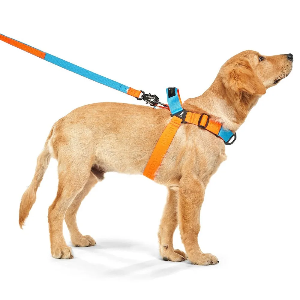 Earthtec Y Strap Dog Harness